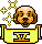 Pet lover V