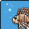 Aquarium 1