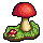 Mushrooms I like to forage!