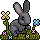 Grey Bunny