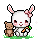 Celebrating Easter with Habbox!