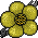 DEA