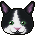 FI048