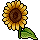 Novo emblema encontrado: FNB26
