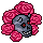 HNN10