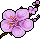 I discovered my zen with HabboCreate!