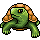 Turtle Owner