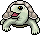 Albino Turtle