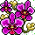 Malaysia's Orchid Flower