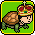 Top 5 Turtle Down Winner