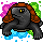 Dante Turtle Owner