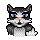 Kitty Softpaws