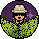 Habbo Patrol Maze Winner