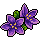 I picked a Lignum Vitae on Jamaica Day 2017!