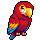 Pretty Polly want a cracker?!