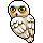 Very smart owl you’ve got there.