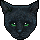 An Absolute CAT-astrophe!