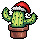 Christmas '22 with Cactier