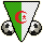 National Team Flag