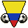 National Team Flag