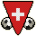National Team Flag