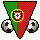 National Team Flag