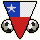 National Team Flag