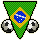 National Team Flag