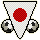 National Team Flag