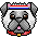 Hotel For Dogs Quest