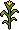 ranch_c26_small_corn