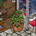 lpromo_24072026_thumb.png