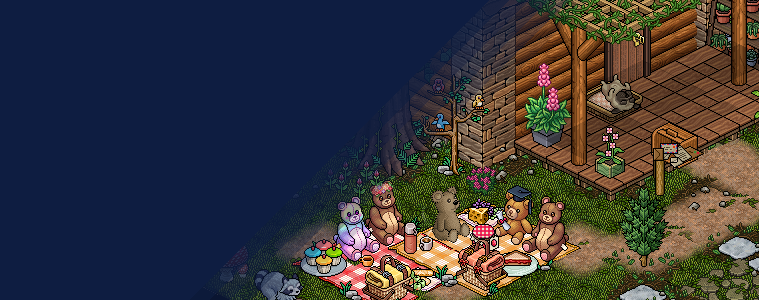 lpromo_hqbearpicnic.png