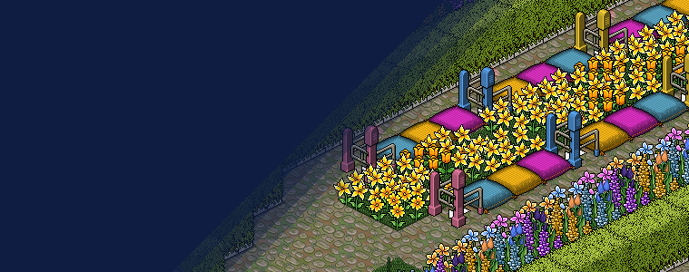 lpromo_wishhabboflower.png