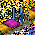 lpromo_wishhabboflower_thumb.png